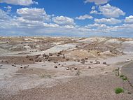 Petrified Forest National Park Wood Landscape