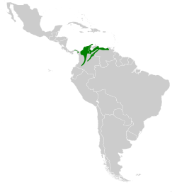 Distribución geográfica del ermitaño ventripálido.