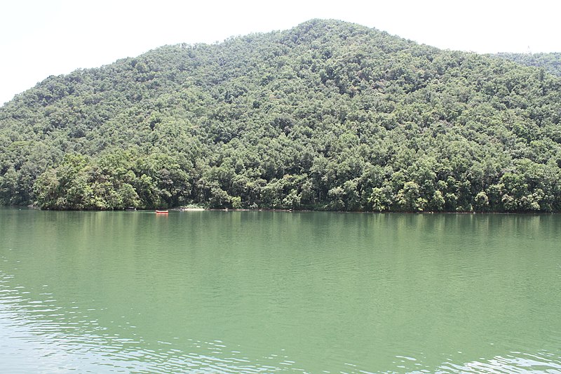 File:Phewaa Lake 13.jpg