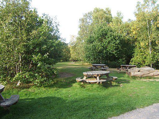 Picnic area, Shorne Wood Country Park - geograph.org.uk - 3592533