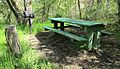 Picnic table in Woodland Park (33578479924).jpg