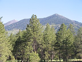 Coconino National Forest, Arizona