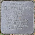 image=https://commons.wikimedia.org/wiki/File:Polak,_Helena_Wilhelmina_-_Jan_Lutmastraat_2.jpg