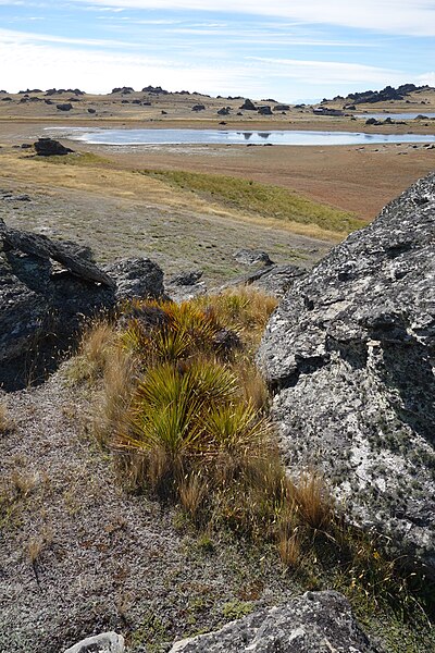 File:Poolburn Reservoir 716.JPG