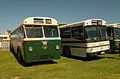 Leyland Tiger, Mercedes bus.