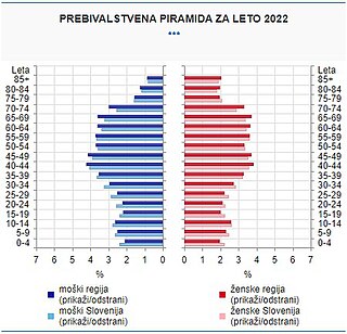 Prebivalstvena piramida je grafični prikaz starostne in spolne sestave prebivalstva. Dolžina posamezne črte v grafikonu prikaže delež prebivalcev v posamezni starostni skupini. Deleži prebivalcev so prikazani na levi strani, deleži prebivalk pa na desni strani piramide.