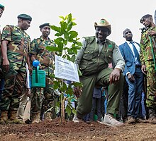 President William Ruto takes part in the national tree planting day