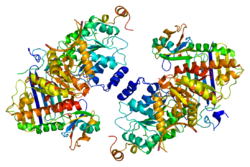 Protein CASC3 PDB 2hyi.png