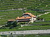 Dezaley, Clos des Abbayes et ses dependances Puidoux, Clos des Abbayes du Dezaley 02.jpg