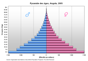 Väestöpyramidi – Wikipedia