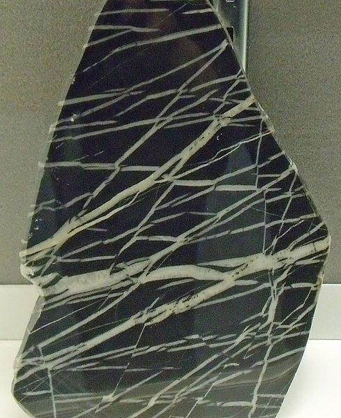 File:Quartz and calcite veinlets delicately stepping through a black siltstone.jpg