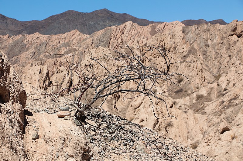 File:Quebrada de las Flechas 07.jpg