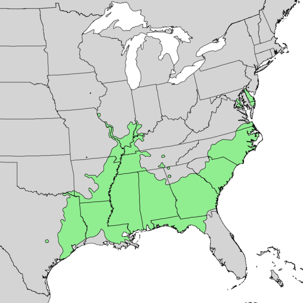 File:Quercus lyrata range map 1.png