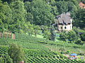 Villa Elisabeth, from the Eggersweg above