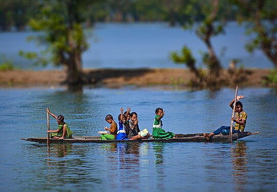 Children in a boat on the Shari-Goyain River in Ratargul Swamp Forest. Photograph: Abdulmominbd