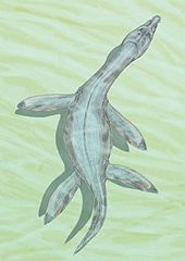 Restoration of R. cramptoni Rhomaleosaurus crampt12DB.jpg