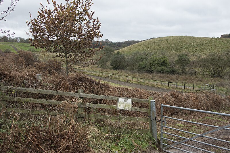 File:Rough land - geograph.org.uk - 5989258.jpg