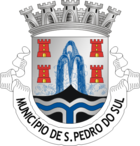 Wappen von São Pedro do Sul