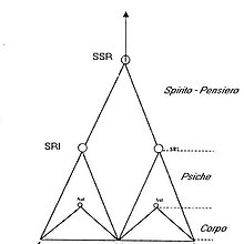 SRI-SSR.jpg