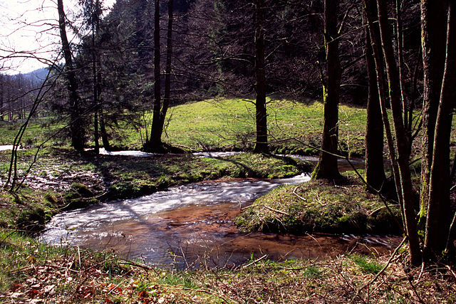 D "rote Saar" am Füess vum Donon