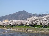 京都から望む比叡山（2005年4月）
