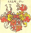 Герб на графовете Салм-Нойбург