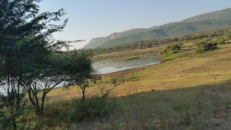 File:Sariska Tiger Reserve, Rajasthan - Picture 2.jpg