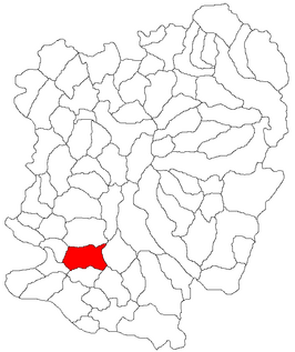Kaart van Sasca Montană