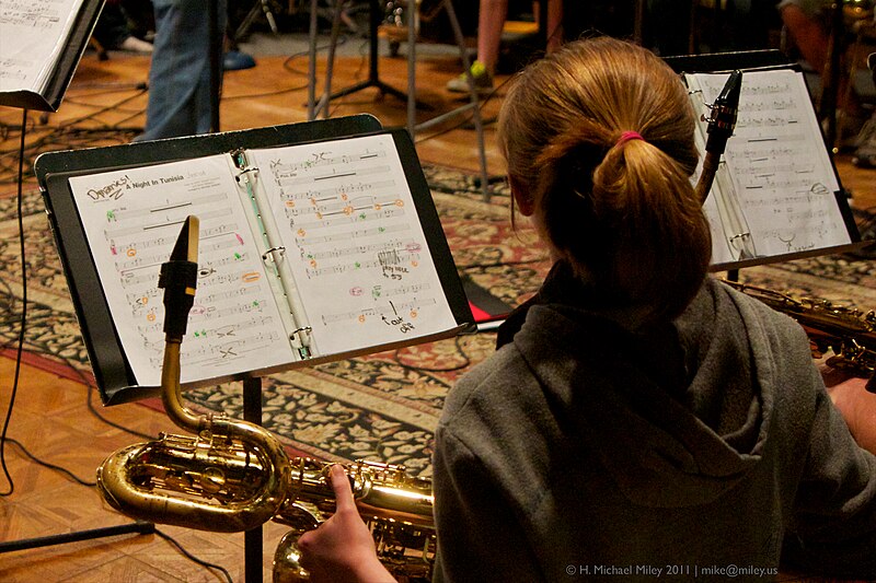 File:Saxophonist - District 54 Jazz Band Recording Session 11 - Solid Sound Recording Studio, Hoffman Estates, IL, 2011.jpg