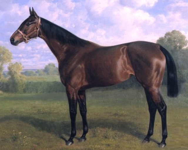 Sceptre, the only outright winner of four classics, painted by Emil Adam