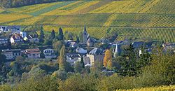 Schengen Autumn in the Vineyards.jpg