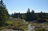 Schieferbruch auf dem Fellberg