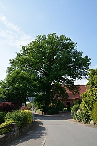 Schleswig-Holstein, Fitzbek, Naturdenkmal NIK 6928.JPG