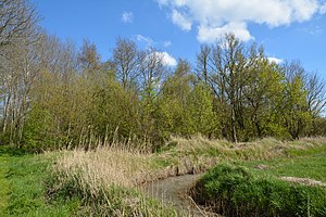 Schleswig-Holstein, Lunden, Landschaftsschutzgebiet und Naturerlebnisraum NIK 5765.jpg