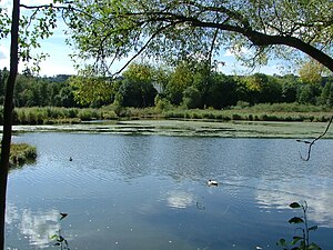 Schwabelsberger Weiher1.jpg