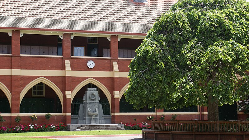 File:Scotch college weeping elm.JPG