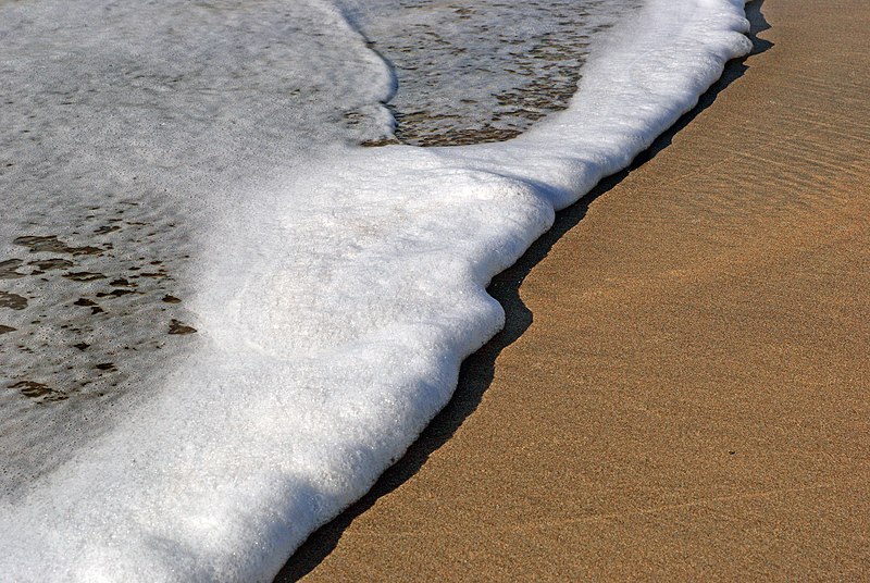 File:Sea shore. (9425708936).jpg