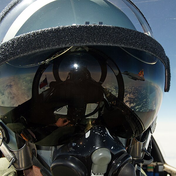 File:Selfie in a Czech Saab Gripen (2).jpg