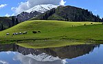 Siri Gölü, Kaghan Vadisi, Pakistan