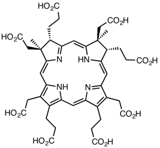 Sirohydrochlorin Chemical compound