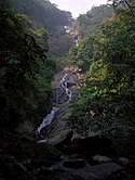 Siruvani Waterfalls Upper part.jpg