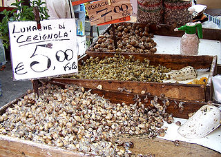 Snails-Italy.jpg
