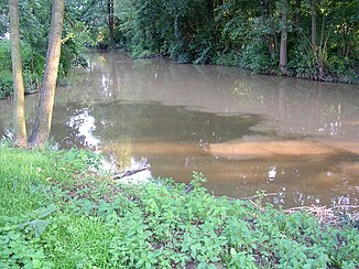 Estuary into the Mastník;  the Sedlecký potok has heavily clouded water in the picture