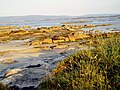 Arousa Island : the wild coast (Galicia, Spain)