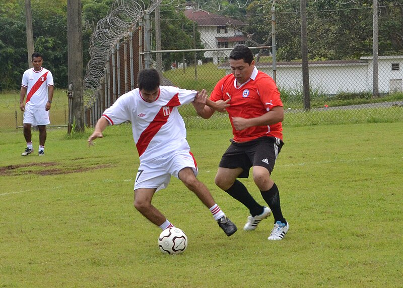 File:Sports day 110815-N-VA590-139.jpg