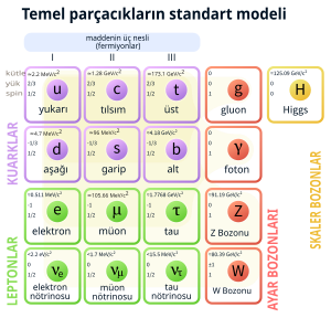 Temel Parçacık: Genel bakış, Standart Model, Notlar