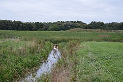 Stanground Wash 4.jpg