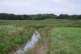 Stanground Wash nature reserve in the United Kingdom
