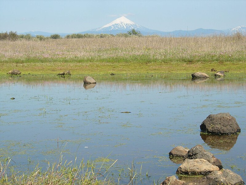 File:Table Rock Vernal Pools.jpg