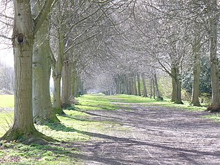 <span class="mw-page-title-main">Farnham Park</span>